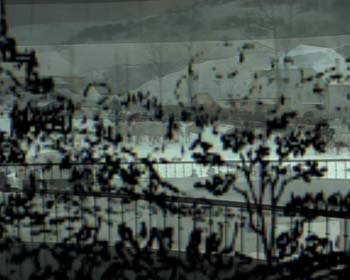 bourbaki11